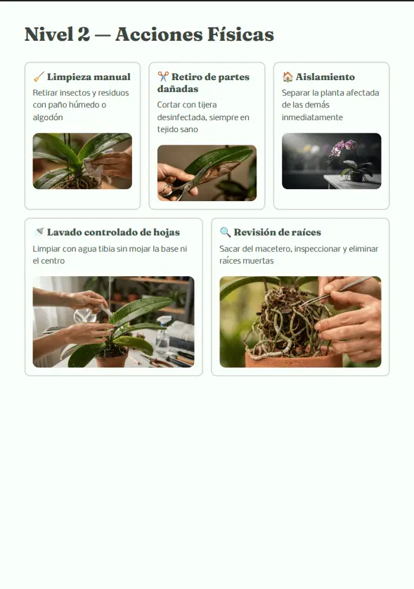 Página interna con secciones de diagnóstico visual